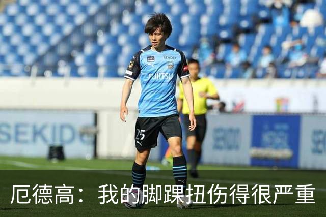 厄德高：我的脚踝扭伤得很严重